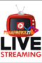 LSTV1